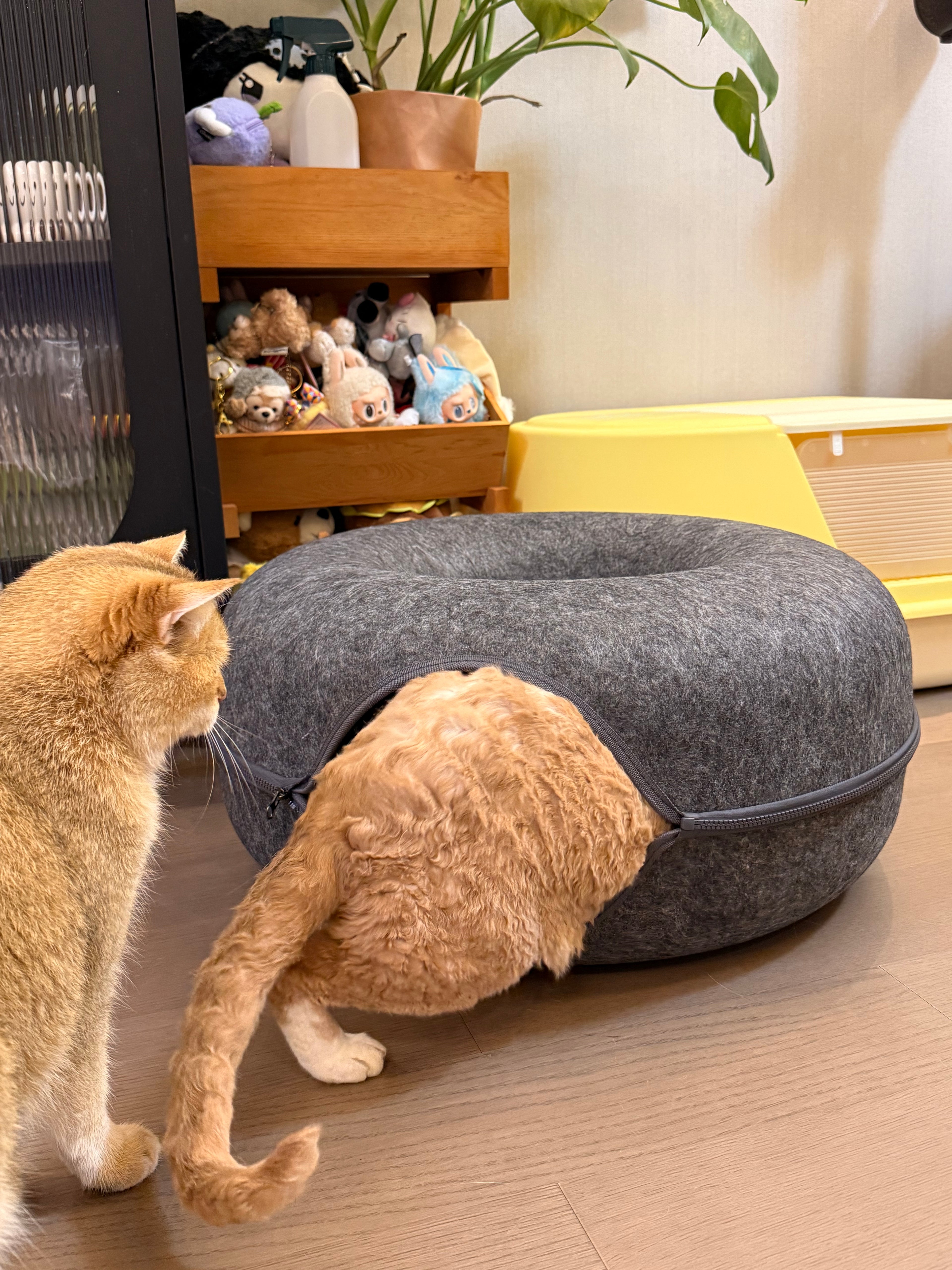 Felt Tunnel Cat Bed | 2-in-1 Enrichment Hideout 60x60x25cm