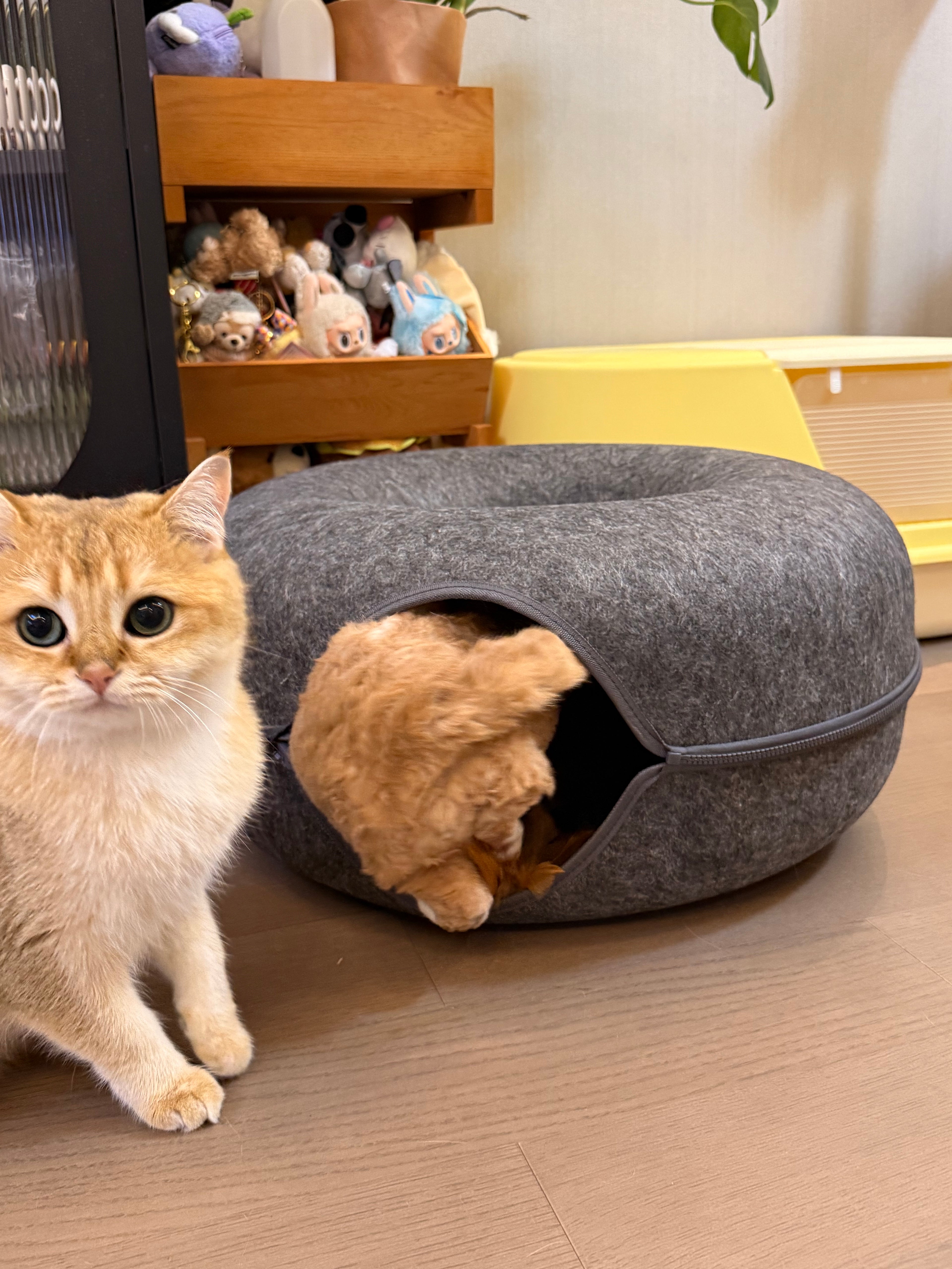 Felt Tunnel Cat Bed | 2-in-1 Enrichment Hideout 60x60x25cm