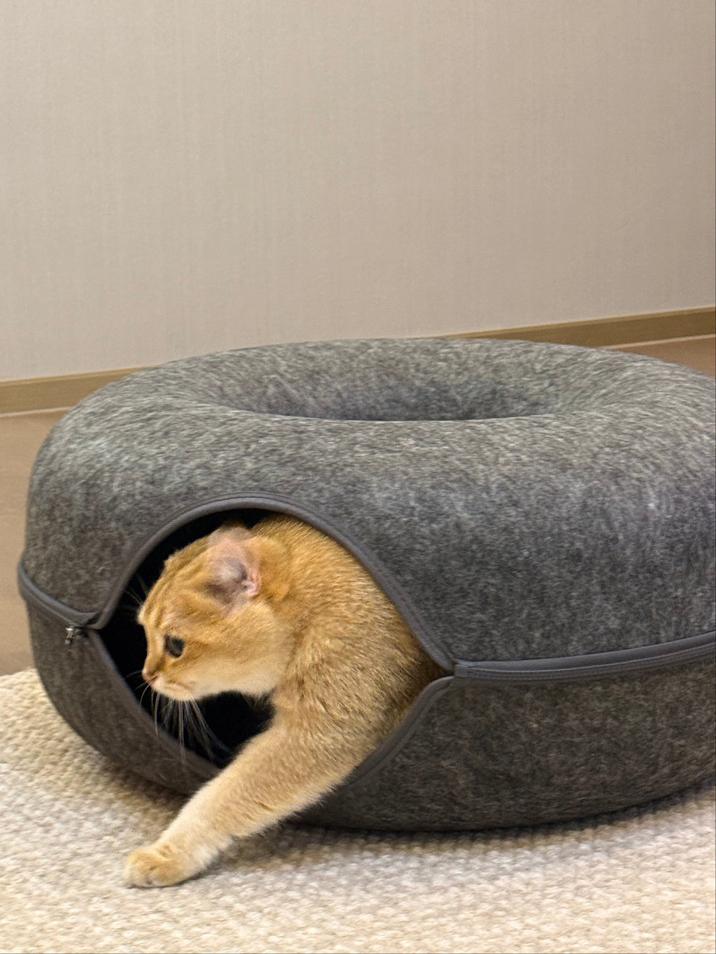 Felt Tunnel Cat Bed | 2-in-1 Enrichment Hideout 60x60x25cm