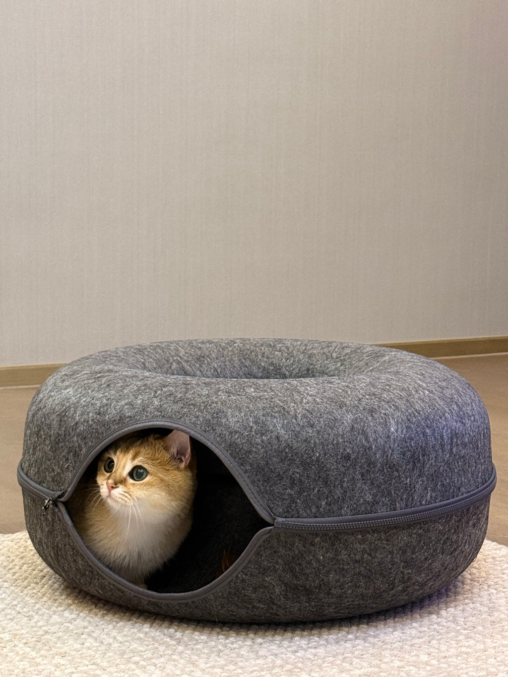 Felt Tunnel Cat Bed | 2-in-1 Enrichment Hideout 60x60x25cm