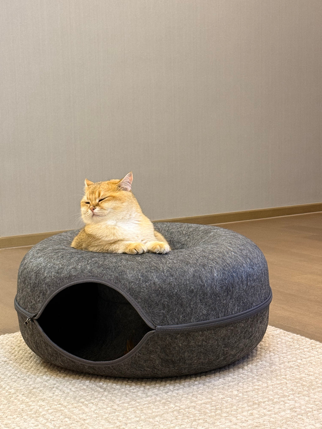 Felt Tunnel Cat Bed | 2-in-1 Enrichment Hideout 60x60x25cm