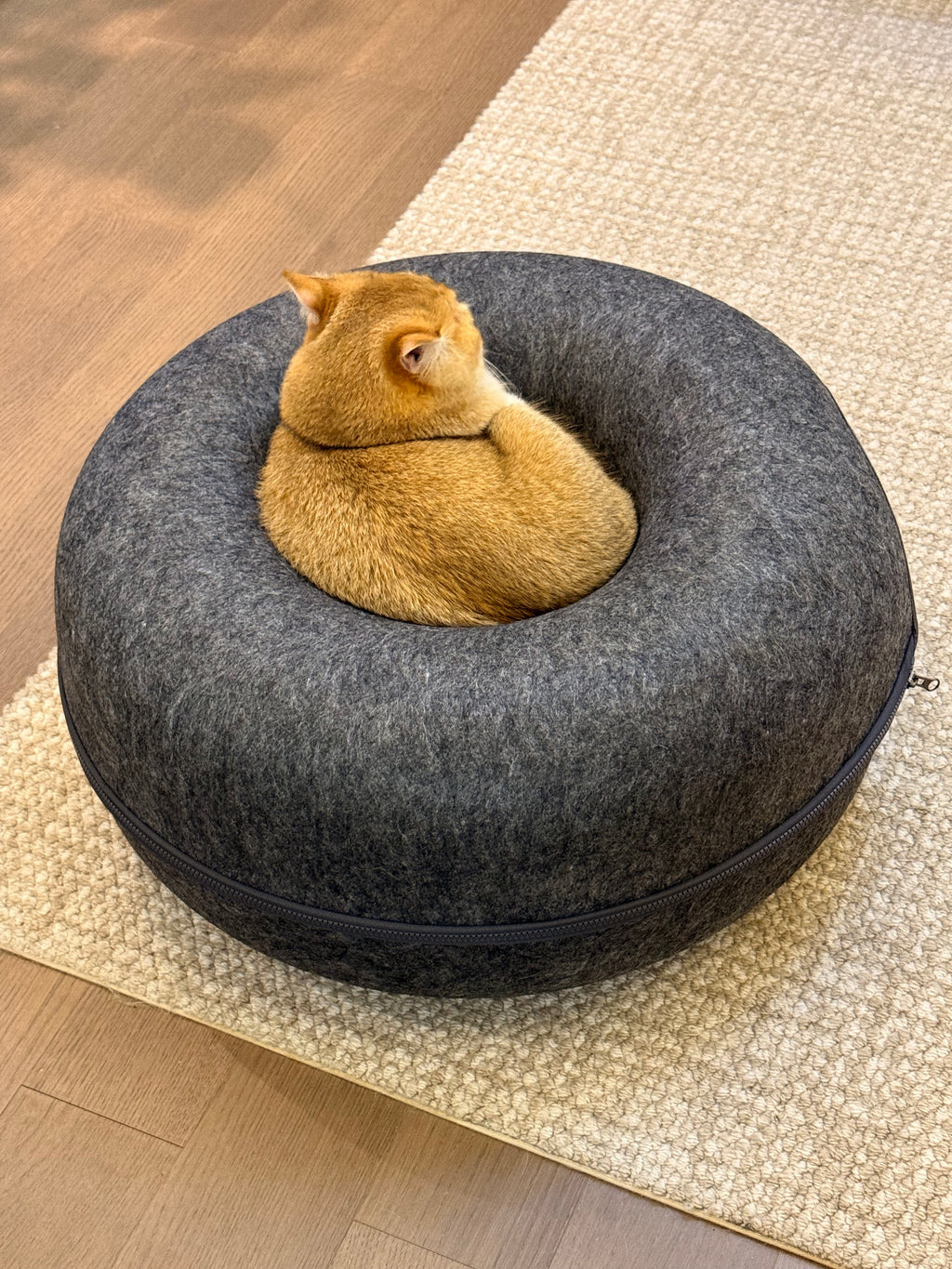 Felt Tunnel Cat Bed | 2-in-1 Enrichment Hideout 60x60x25cm