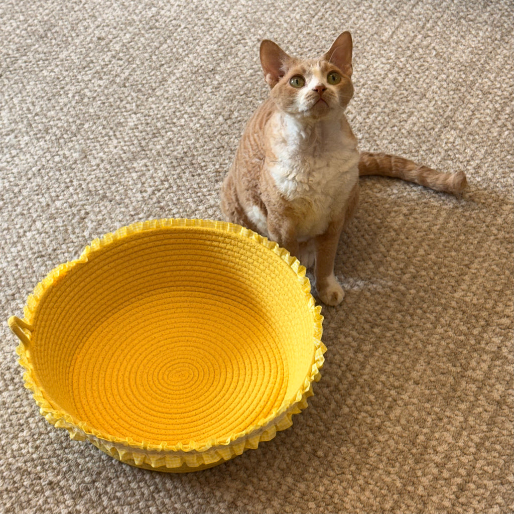 Lace Cat Bed