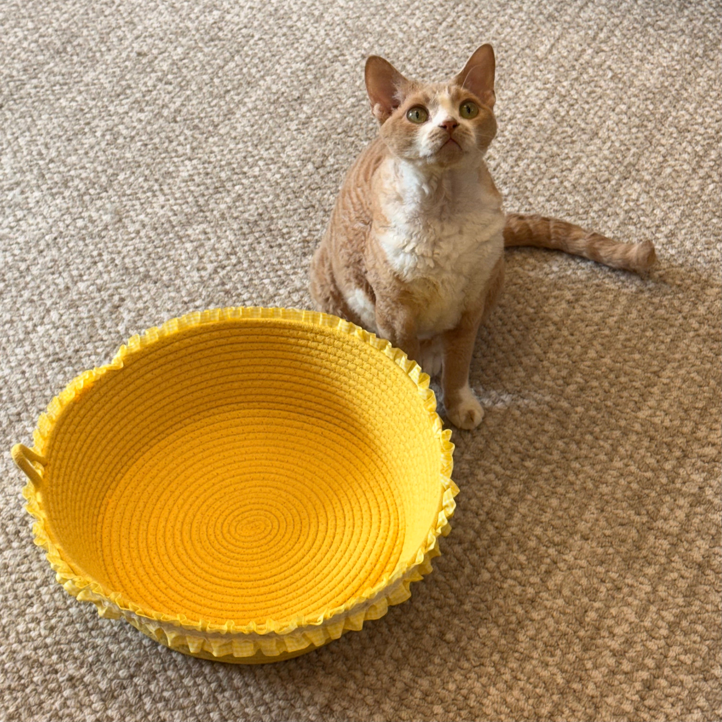 Lace Cat Bed