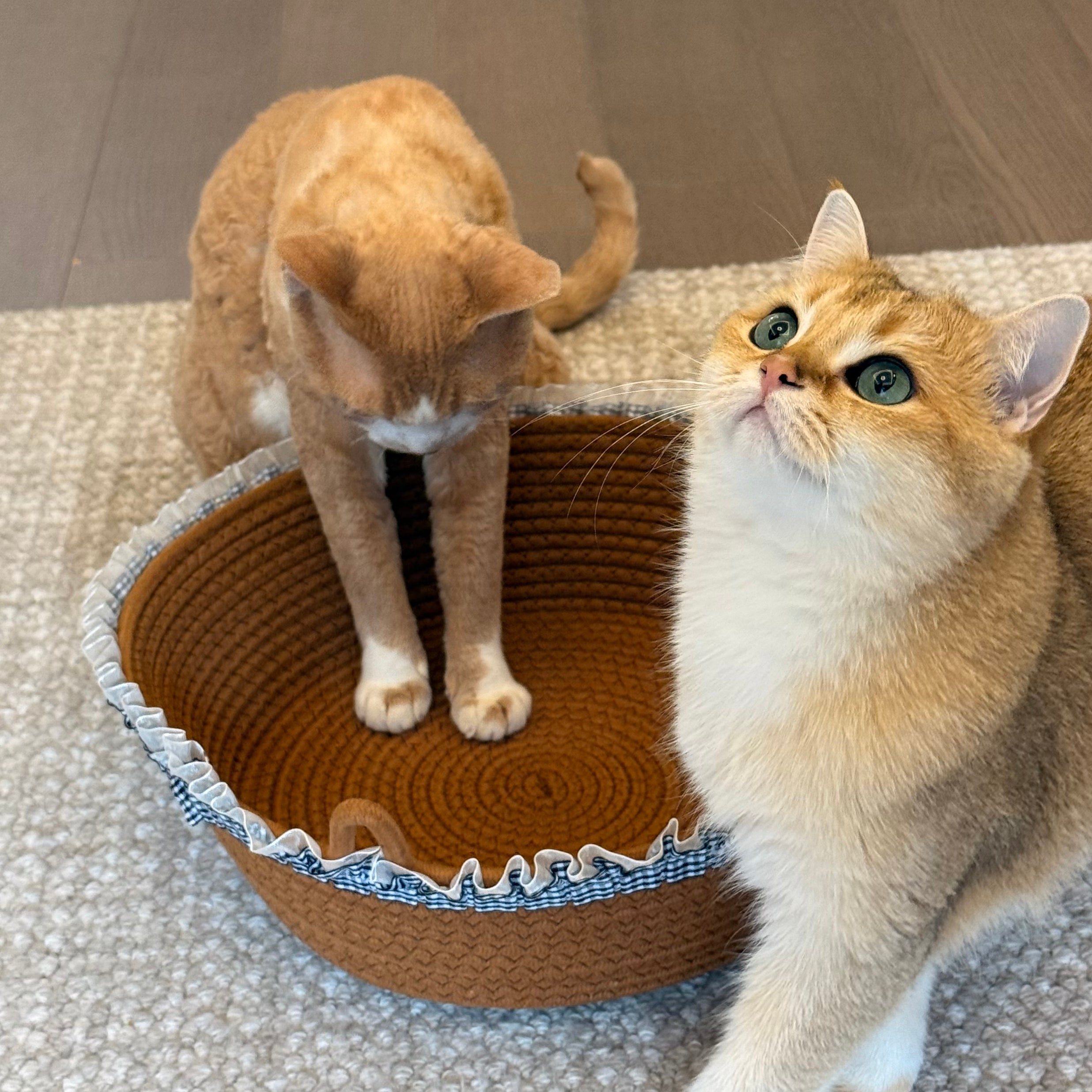 Lace Cat Bed
