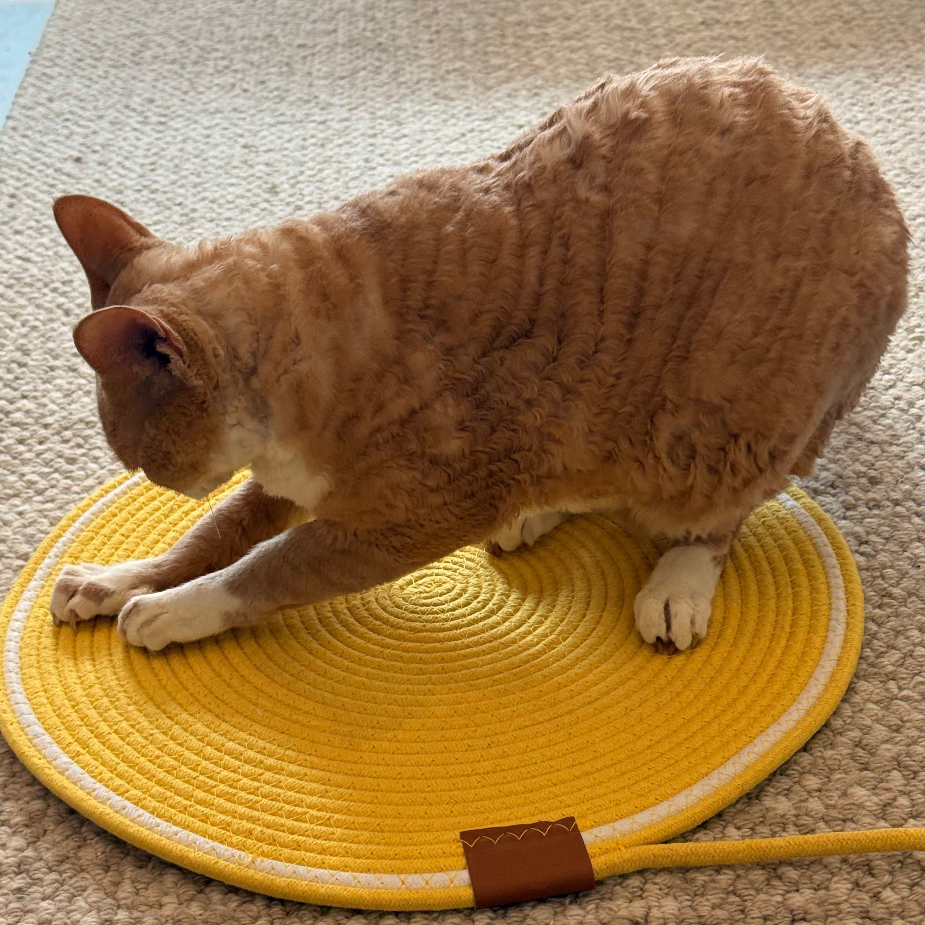Cat Scratch Pad with Ball