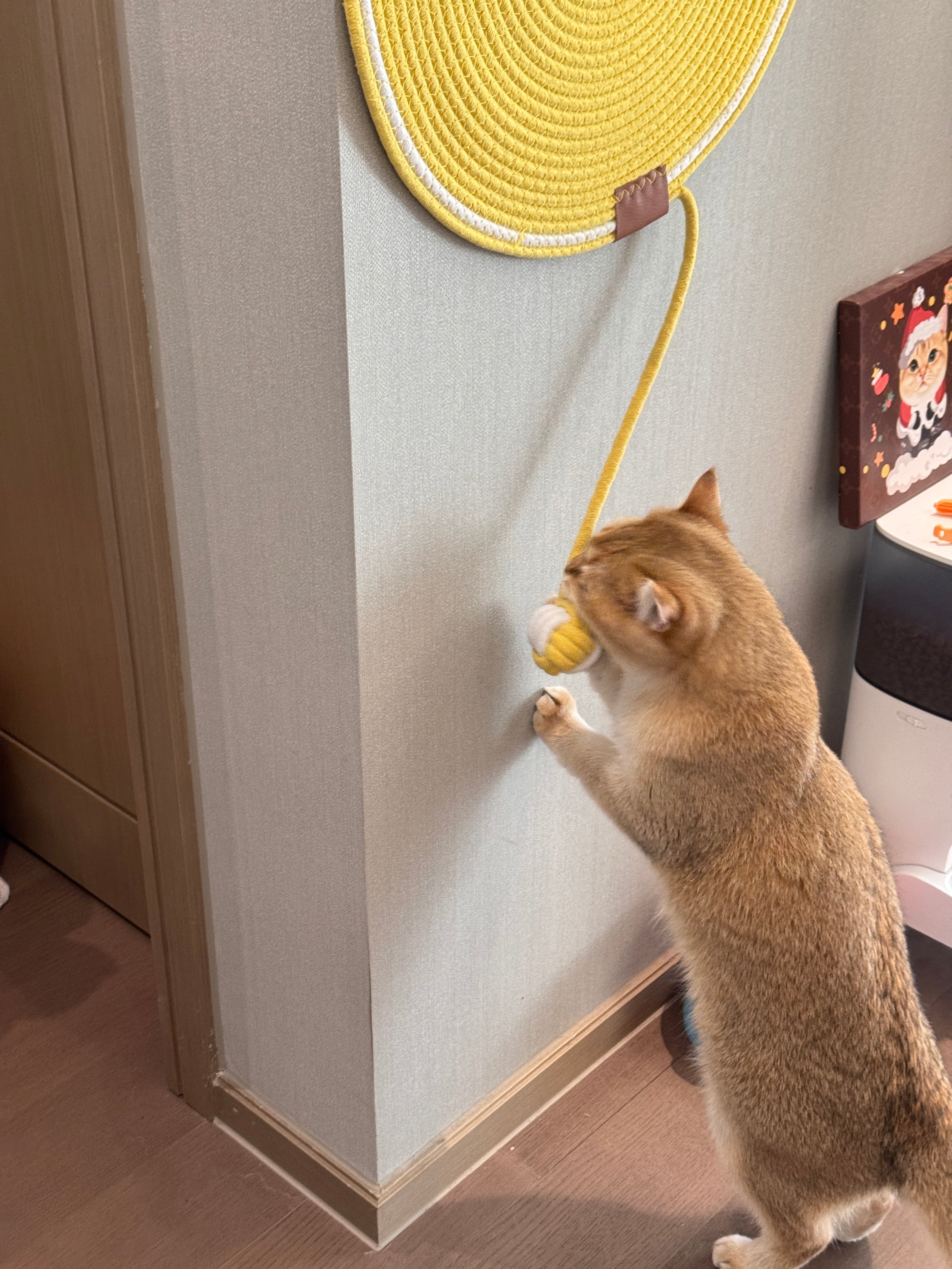 Cat Scratch Pad with Ball