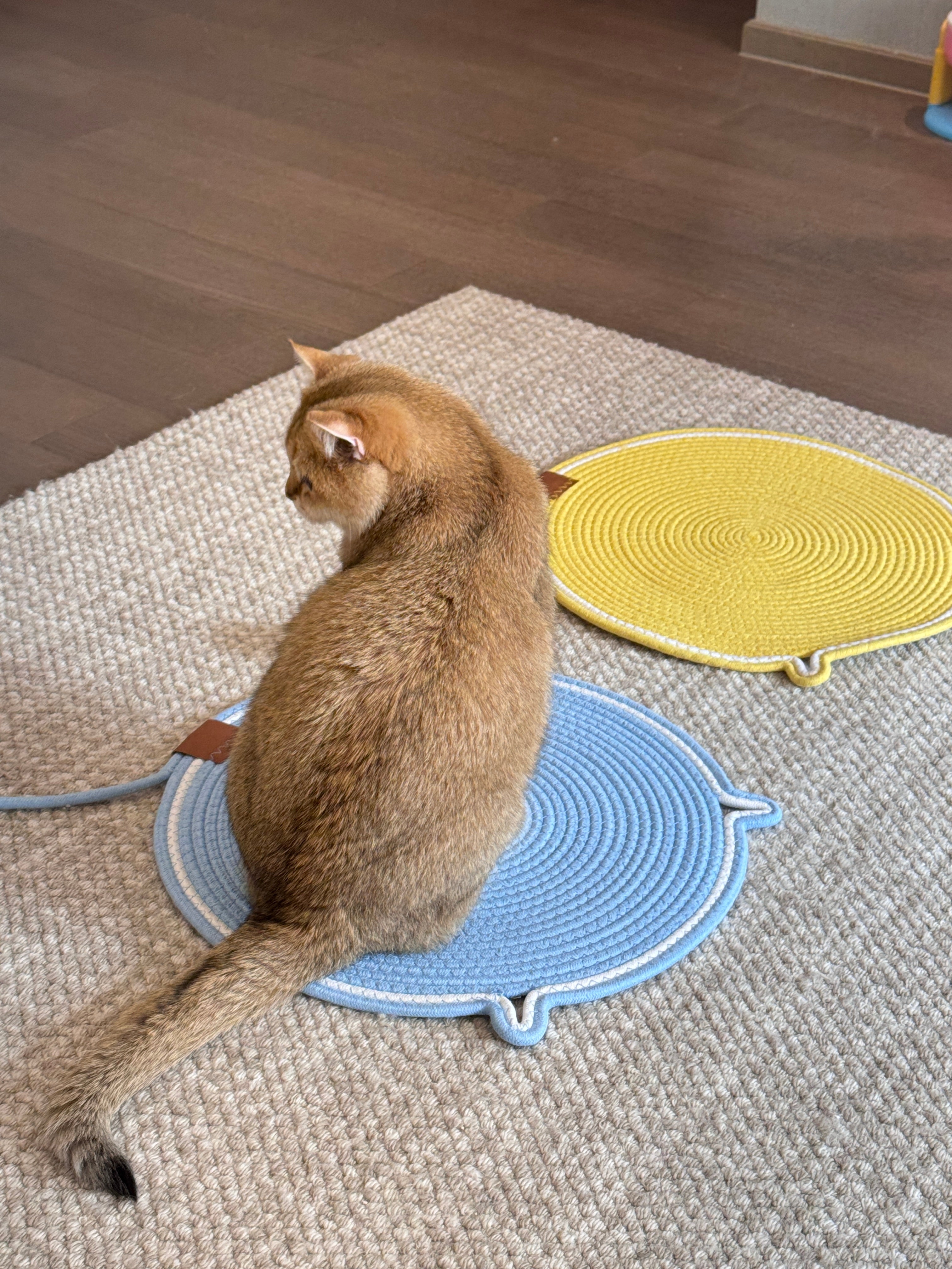 Cat Scratch Pad with Ball